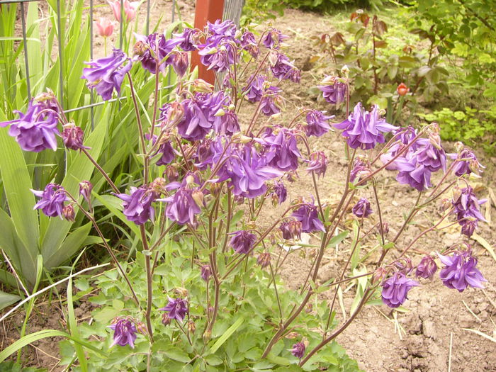 P1230283
