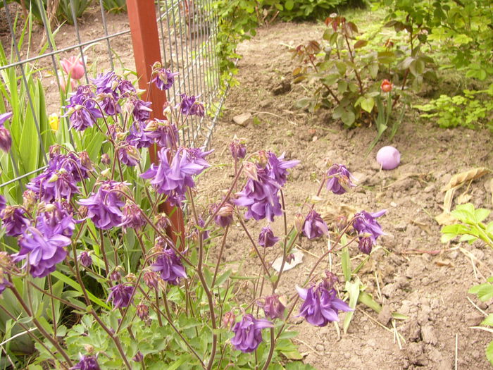 P1230284
