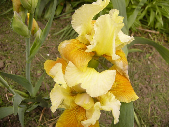 P1230291