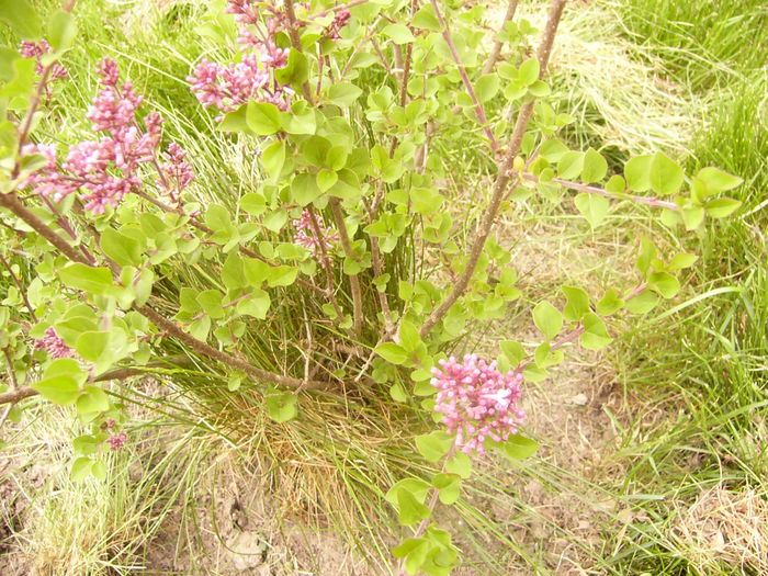P1230308