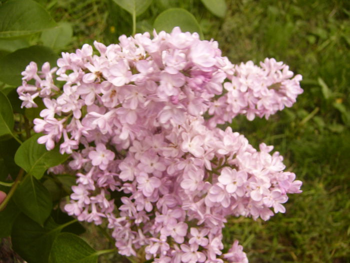 P1230313
