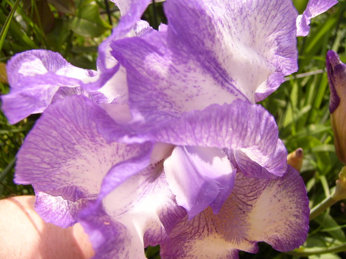 P1230337