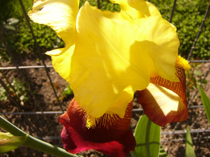 P1230359