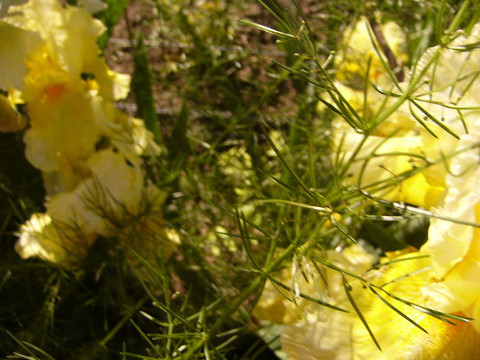 P1230366