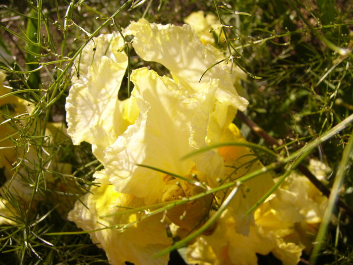P1230367