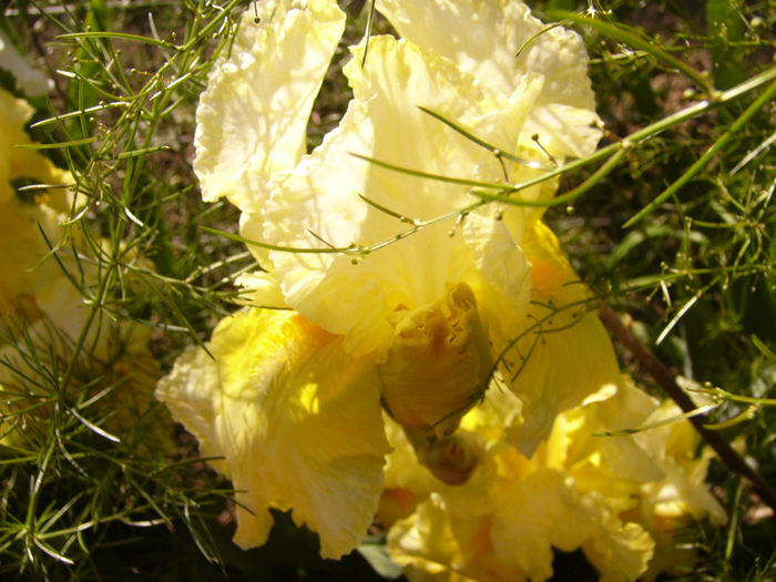 P1230368