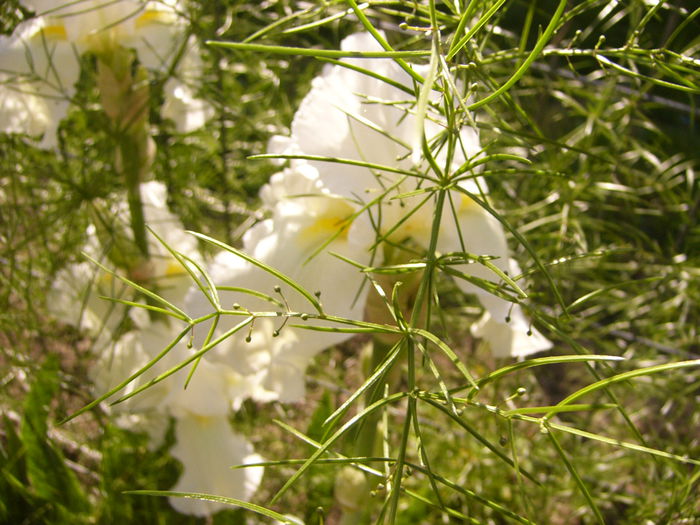 P1230370