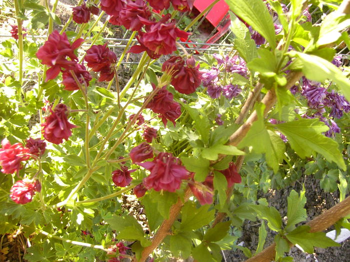 P1230376