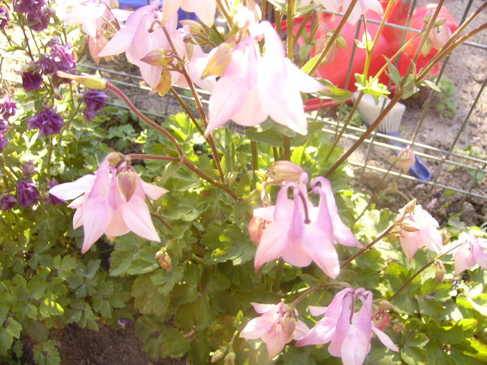 P1230380