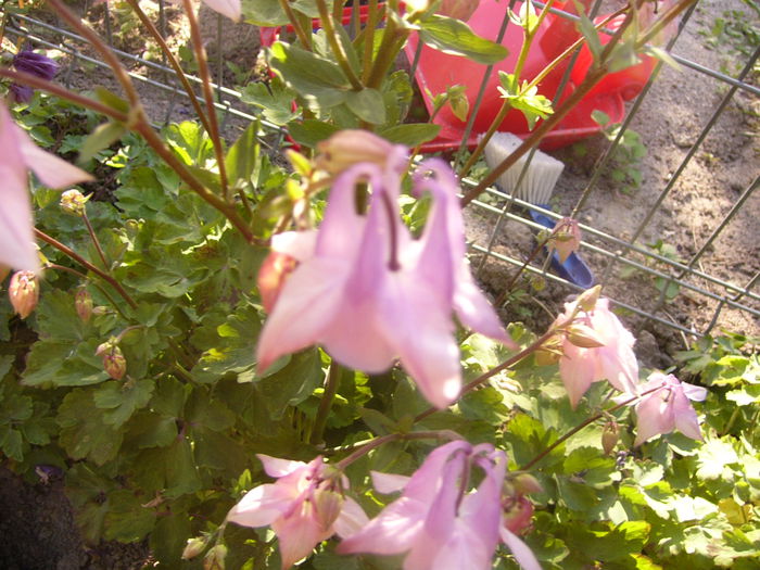P1230381