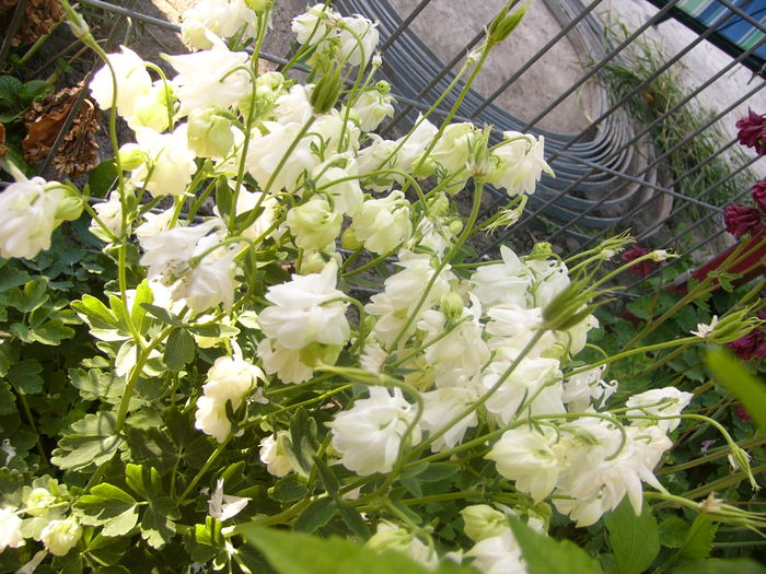 P1230382