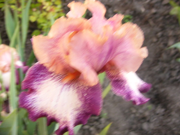P1230414
