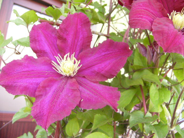 P1230419