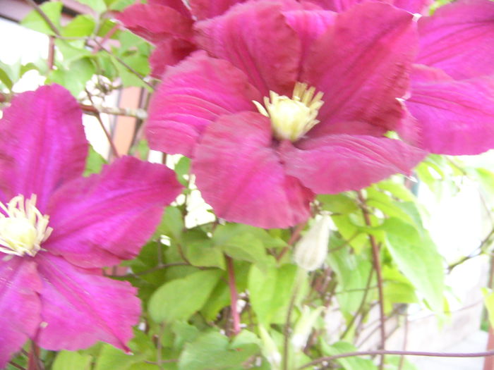 P1230420