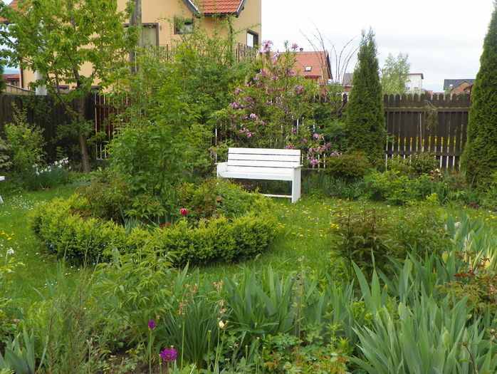 10 mai 104 - Gradina 2015