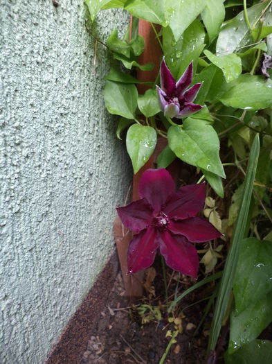DSC03690