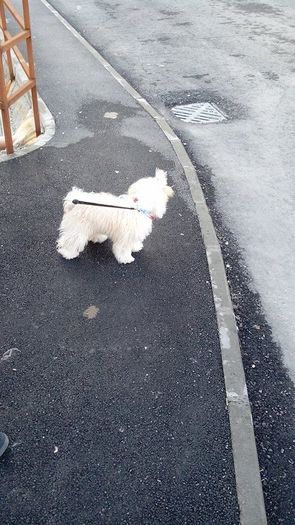 received_543724842435879