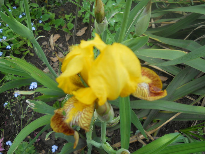 DSCN7591