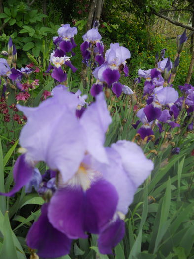 DSCN7592