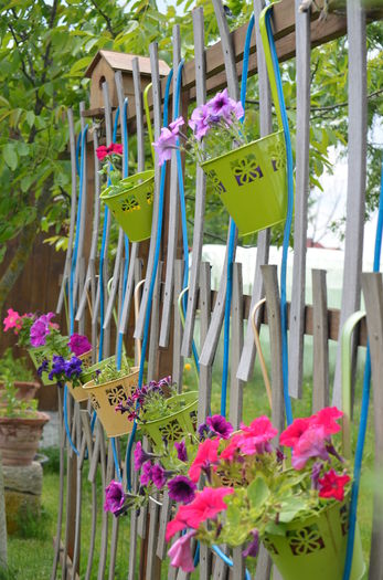 DSC_0016 - 10 mai 2015