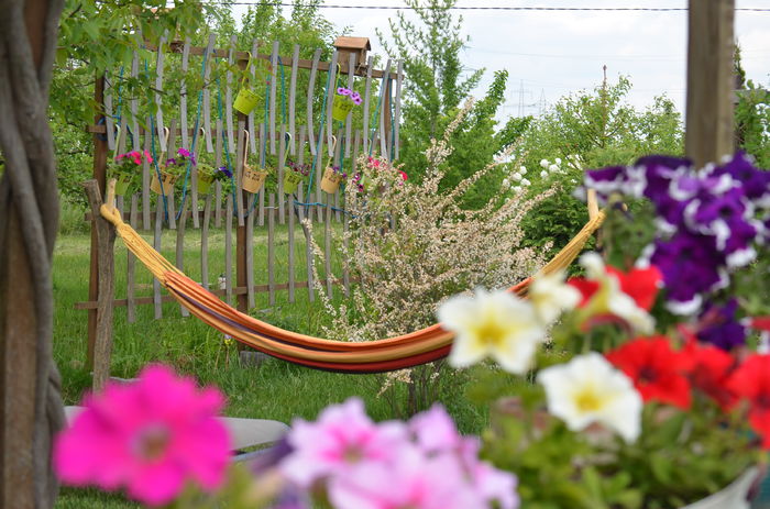 DSC_0024 - 10 mai 2015