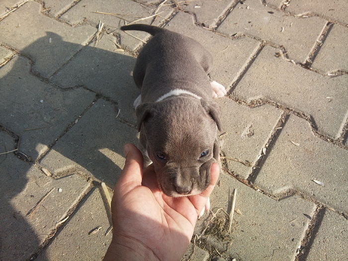 Photo1475