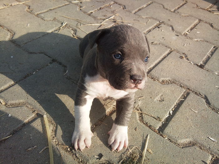 Photo1476