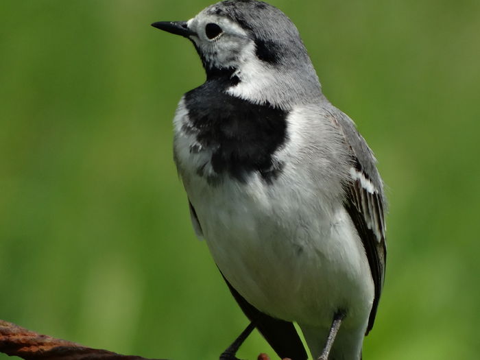 DSC00551