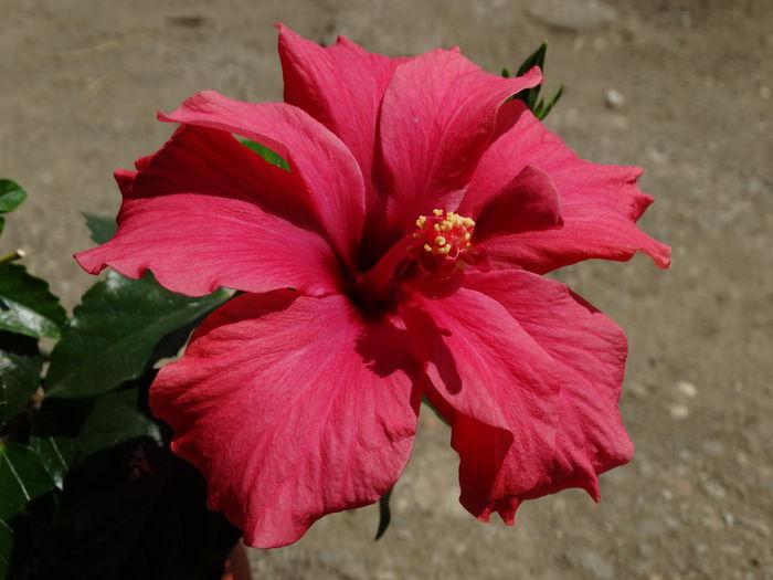 DSC00469