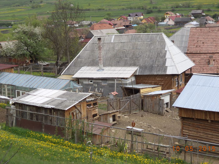 Gospodaria lui Sorin-3