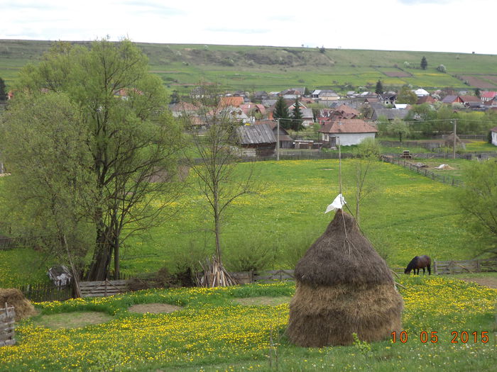 Totul e verde si frumos