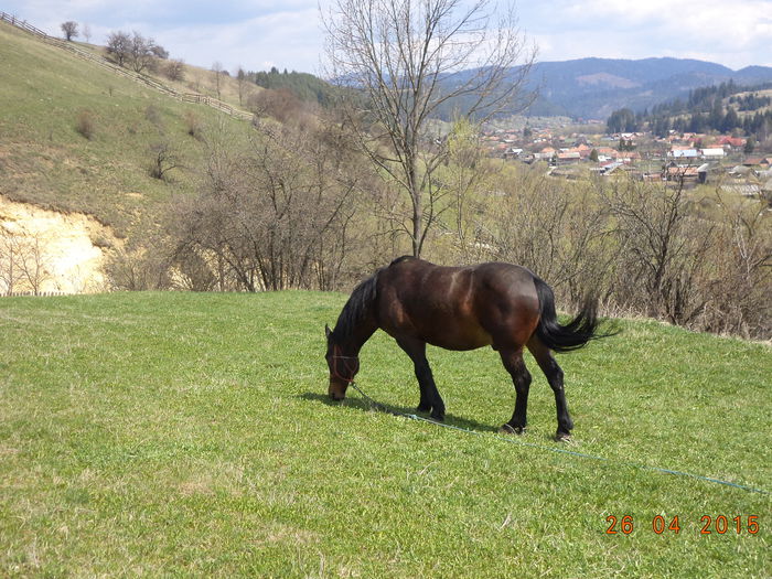 Valea Toplitei si calul lui Sorin