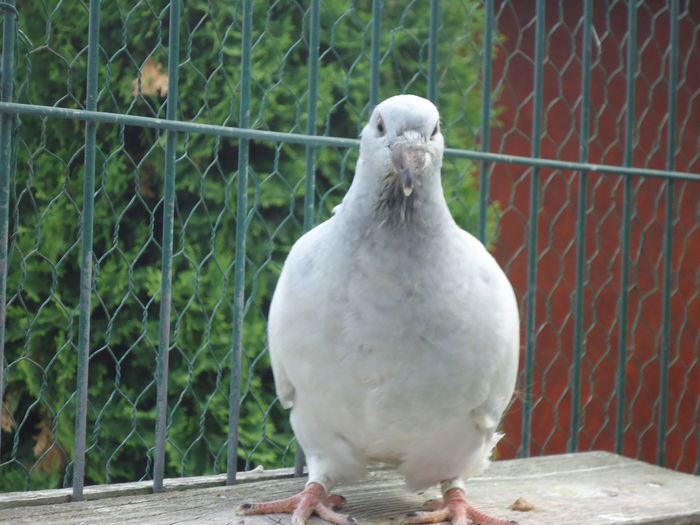 4395