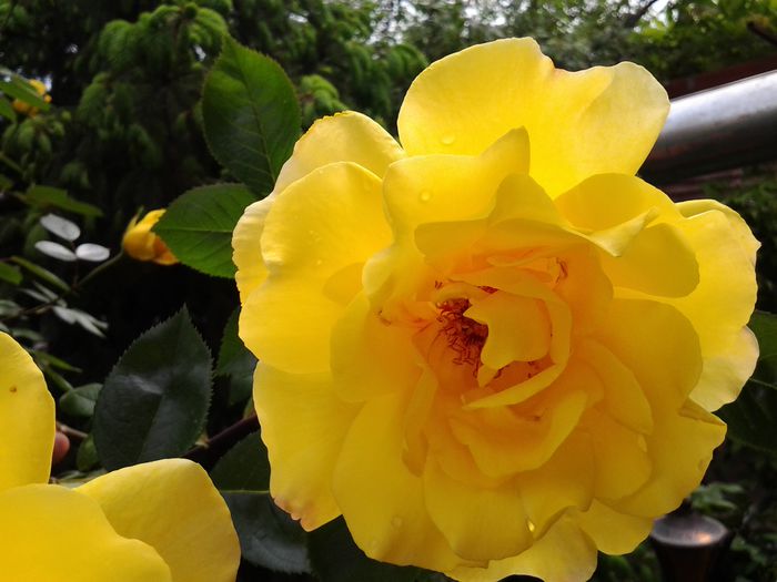 20150511_105856 - mai 2015