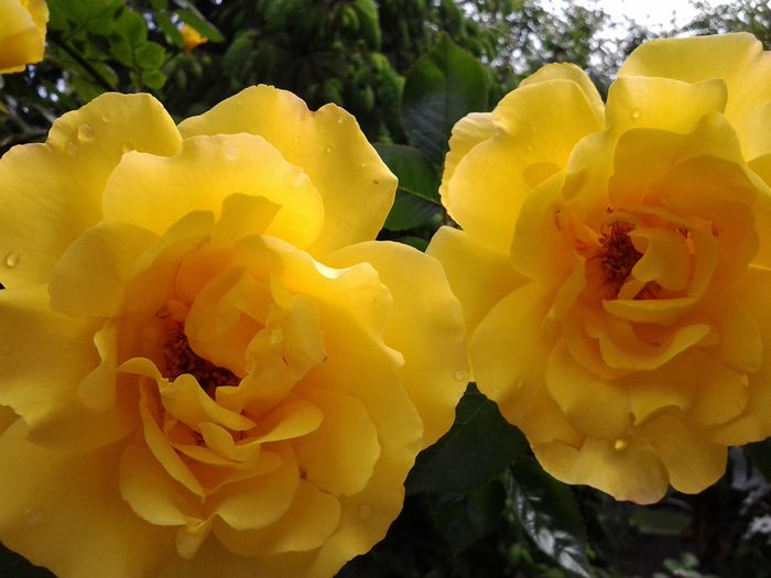 20150511_105906 - mai 2015