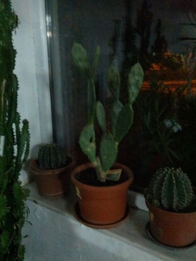 143136874617287892492