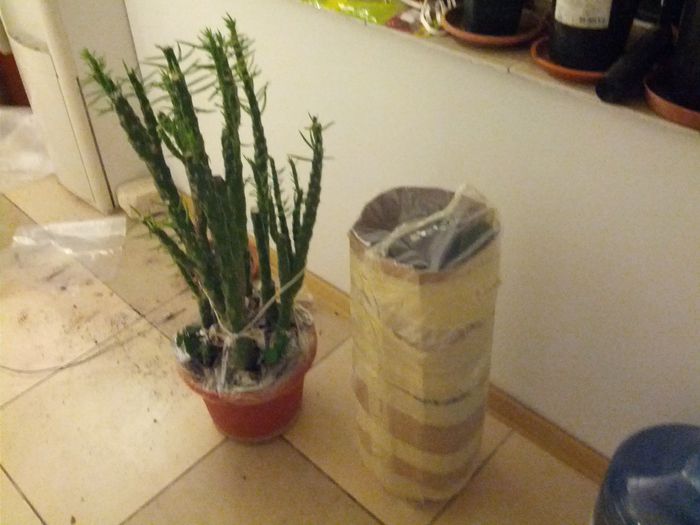 1431373014047-1087554991