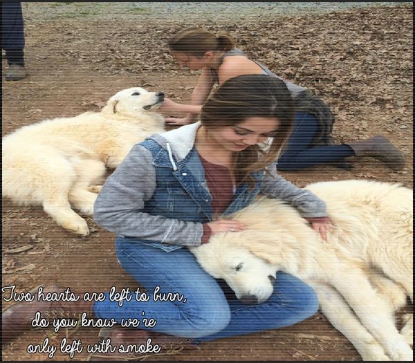 ×ʍɐɹɹıσɹ ☠ ¦ da ce vrei sa iti fac? *il scarpina dupa ureche asa ca pe catei*