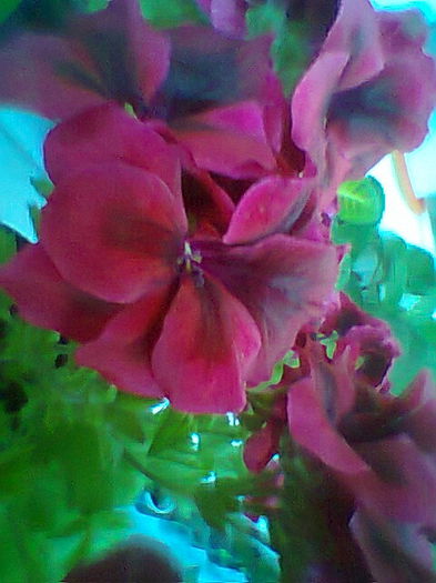 Fotogr.2200