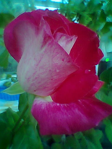 Fotogr.2210