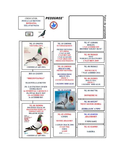 RO14-1242053_ped - CUPLUL 2