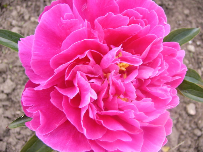 P1230430