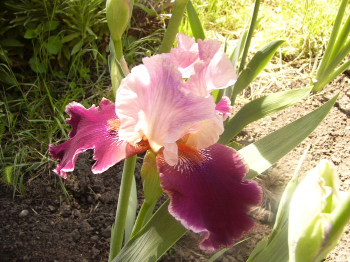 P1230434