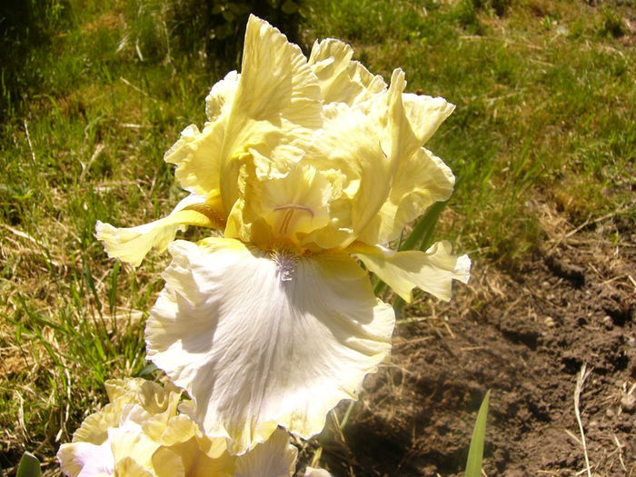 P1230436