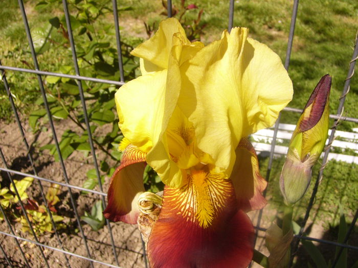 P1230439