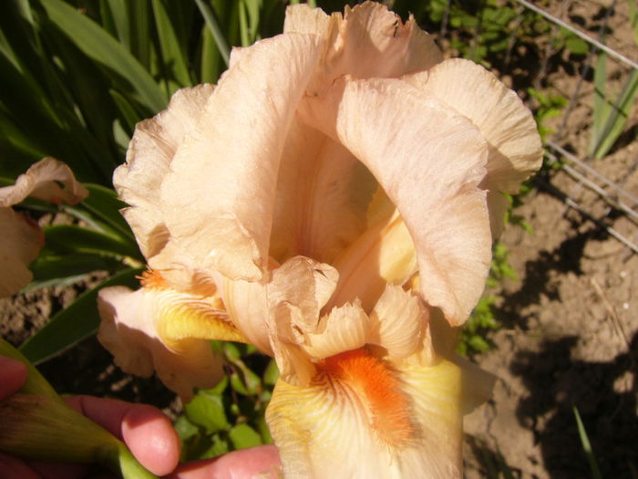 P1230441