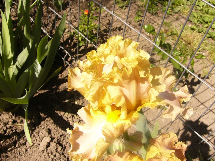 P1230447