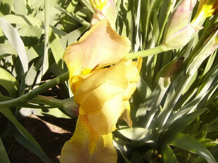 P1230510