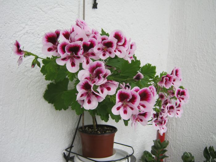 09