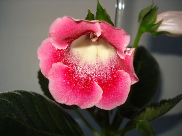 DSC01027